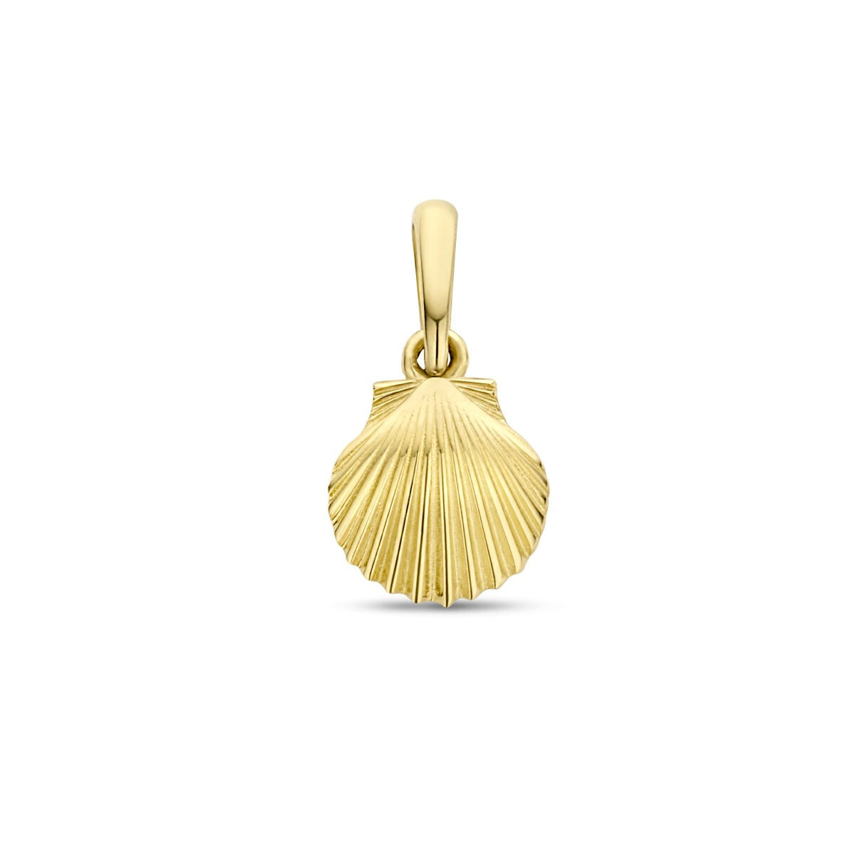 pendentif en or jaune 9 carats en forme de coquillage avec des détails striés.