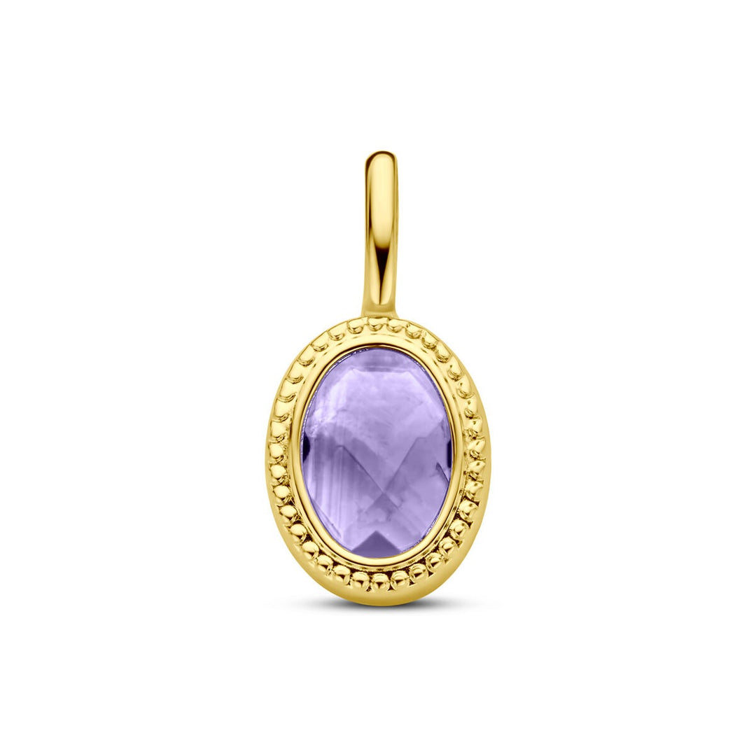 14k Geelgouden Hanger met Amethist – Ovale Zetting