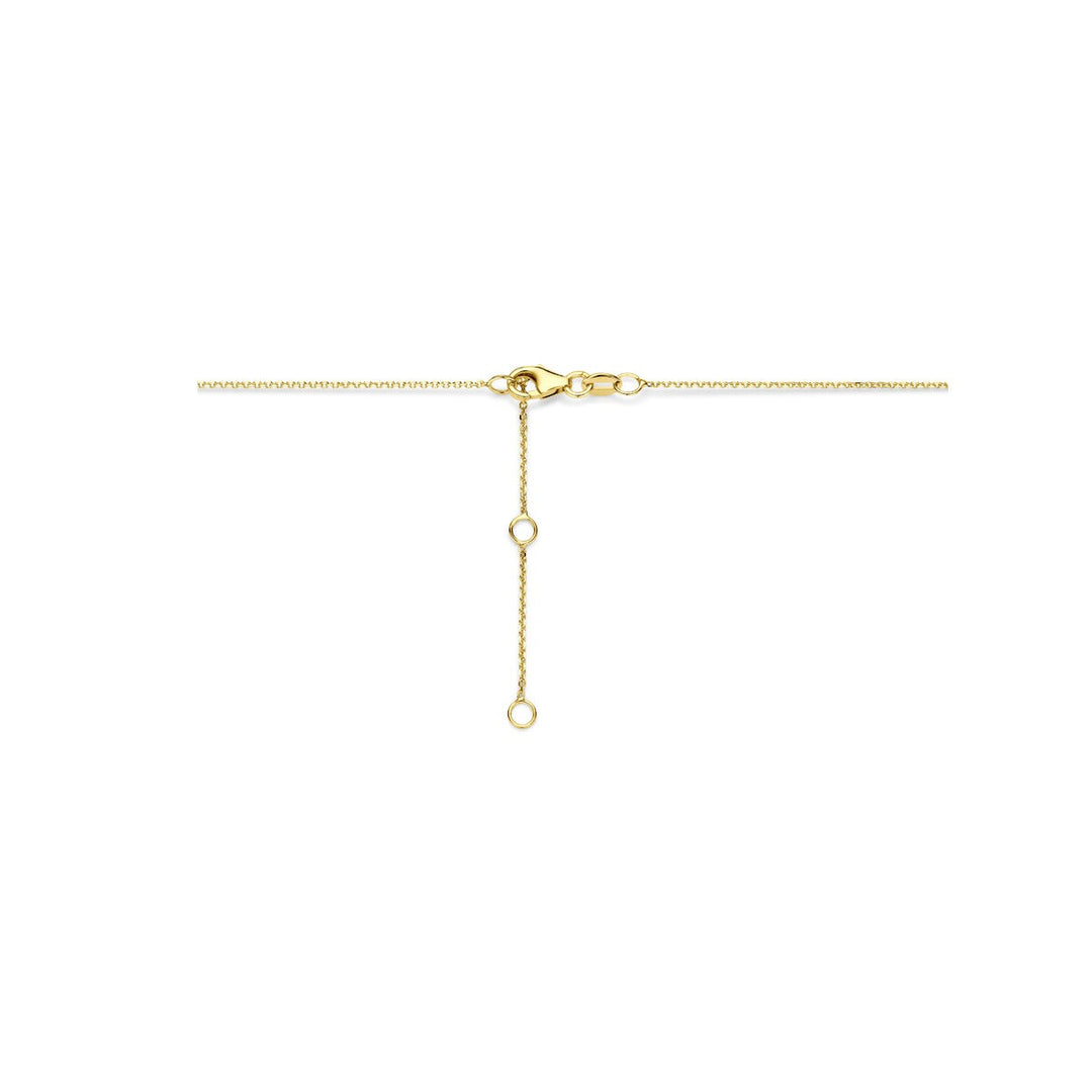 14k Geelgouden ketting met ster