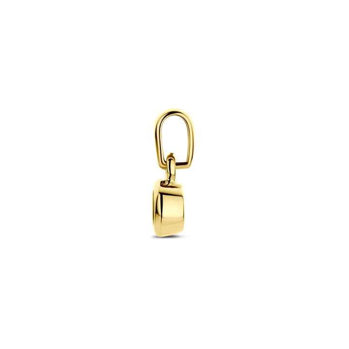 14k geelgouden hanger met zirkonia – 11 mm