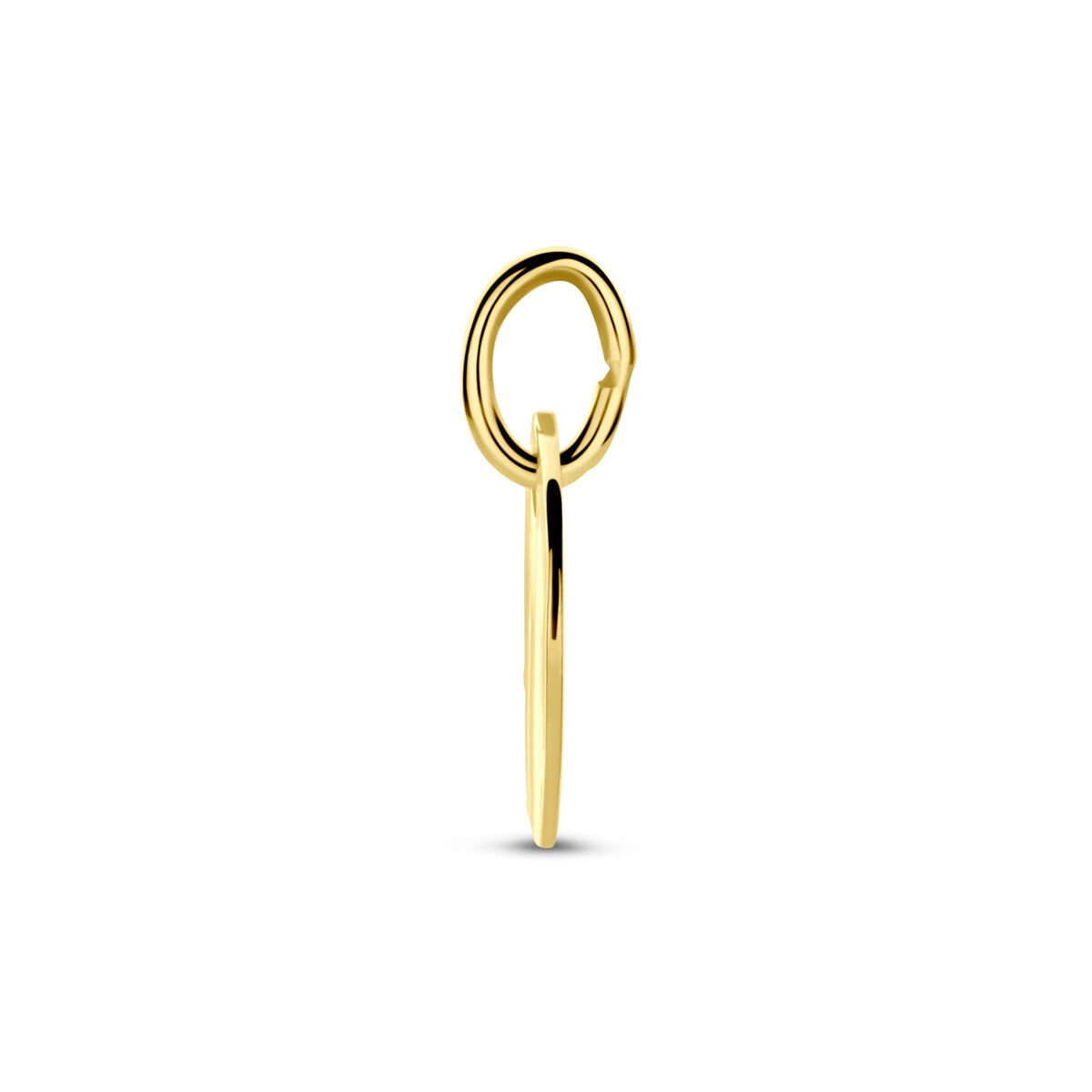Pendentif rond en or jaune 14k pour femme