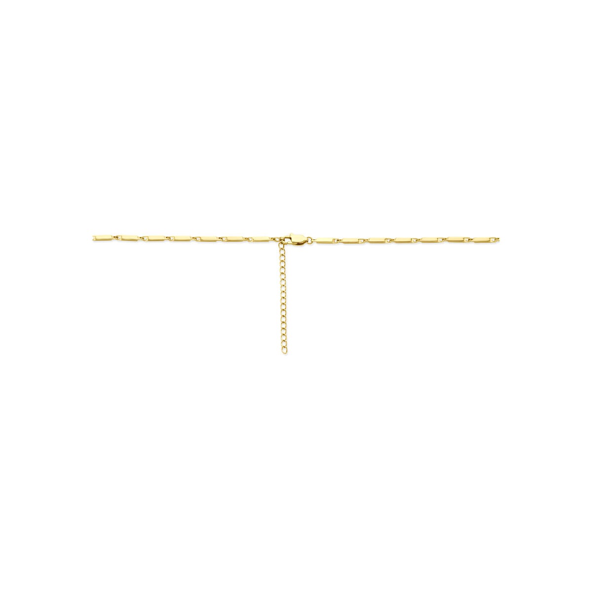 Collier en acier doré 2,5 mm avec rallonge 55–60 cm