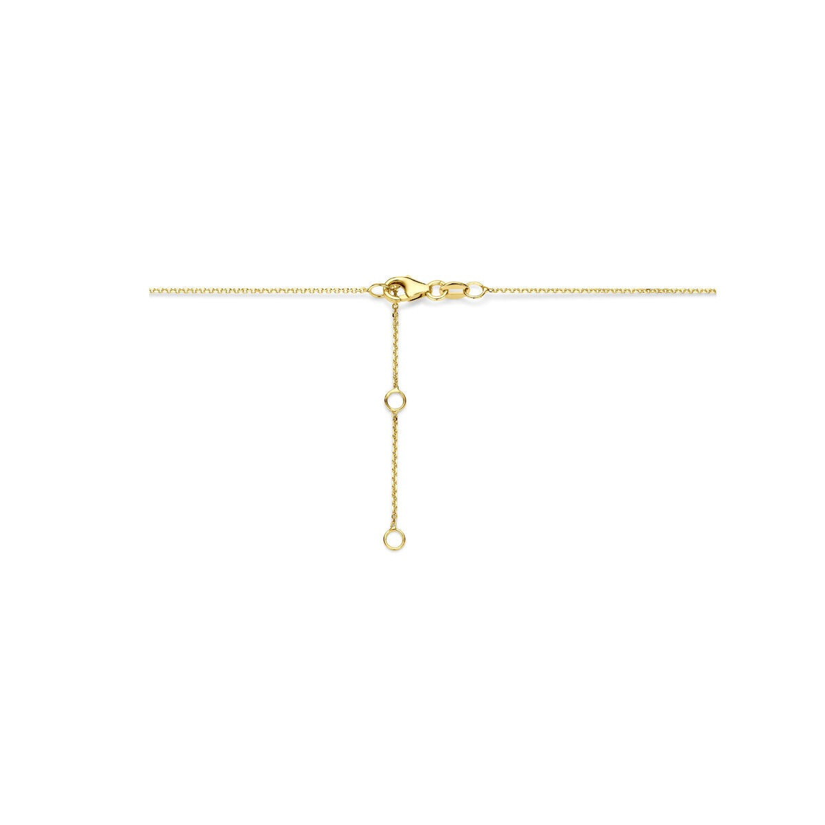 Collier en or jaune 14k avec cœur