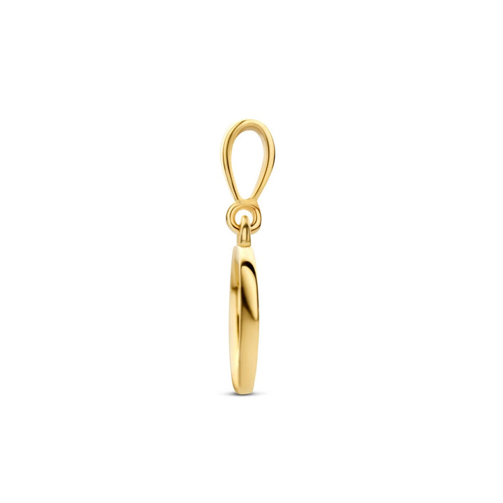 9k Geelgouden hartjeshanger