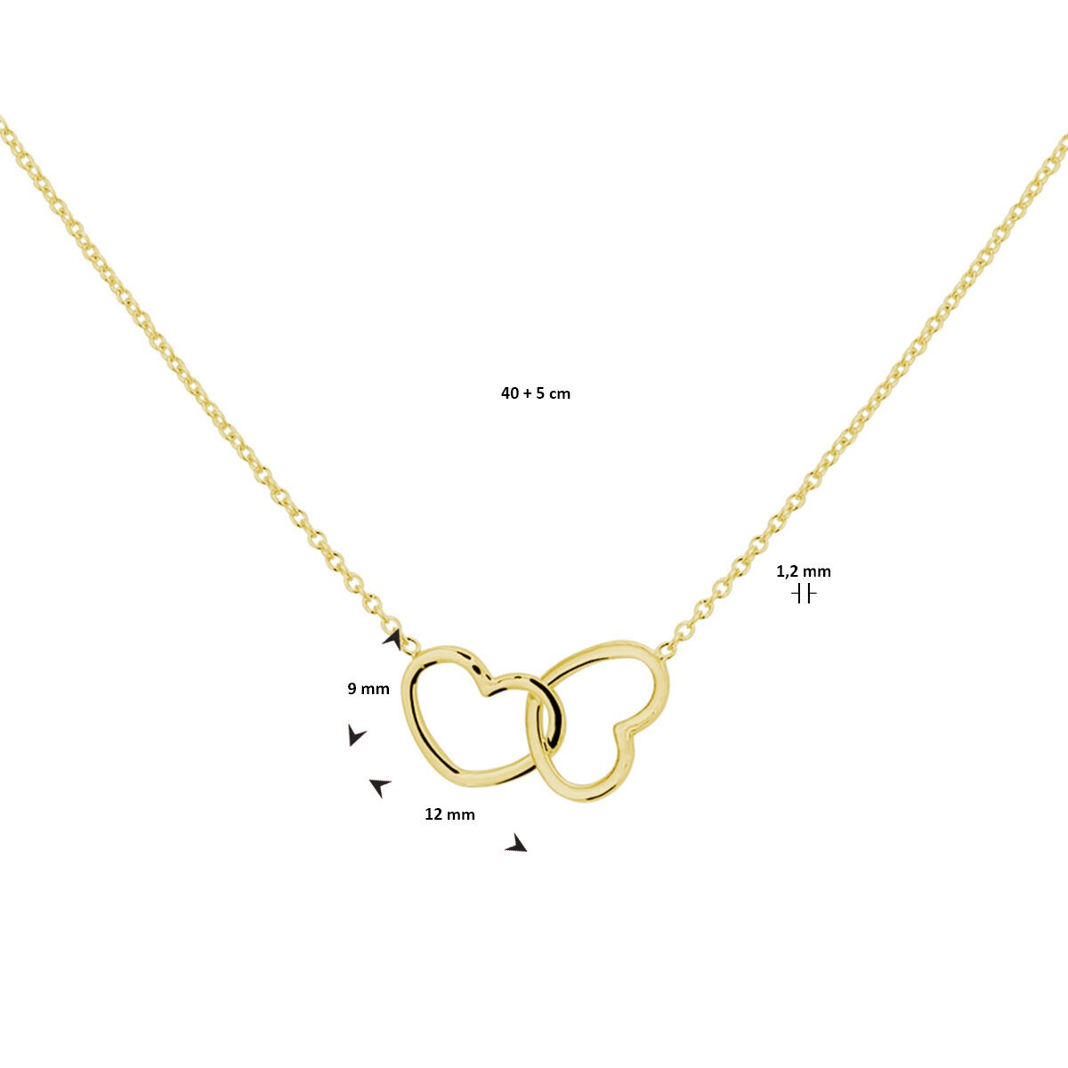 Collier en Argent Plaqué Or avec Deux Cœurs – 40-45 cm
