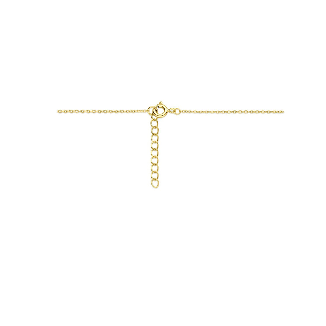 Verguld zilveren collier met hartje zirkonia en onyx medaillon