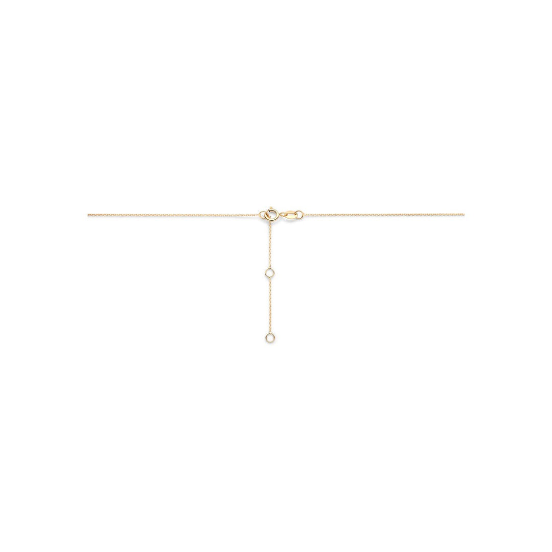 14k Geelgouden collier met hanger