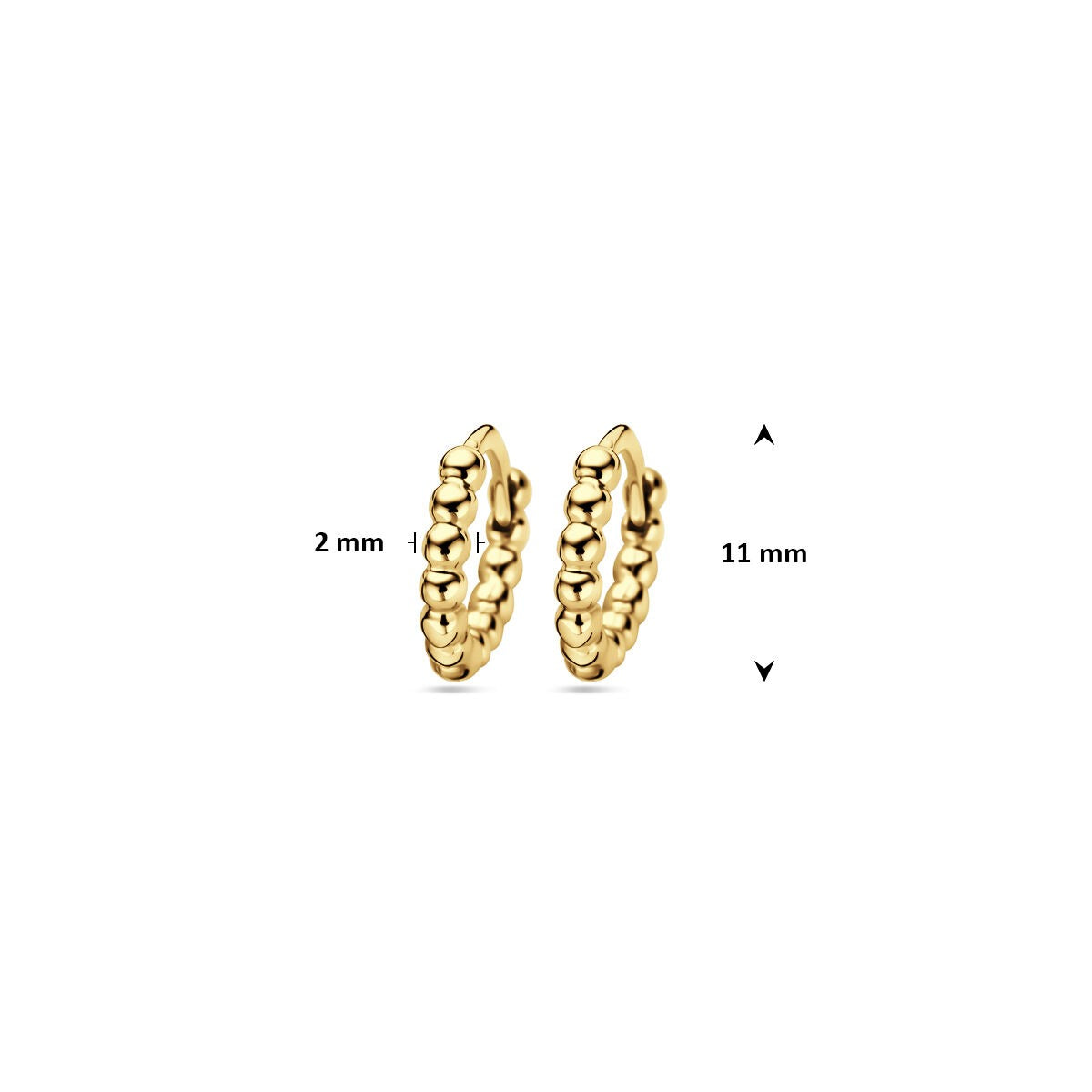 Créoles en argent plaqué or avec finition polie – accent doré