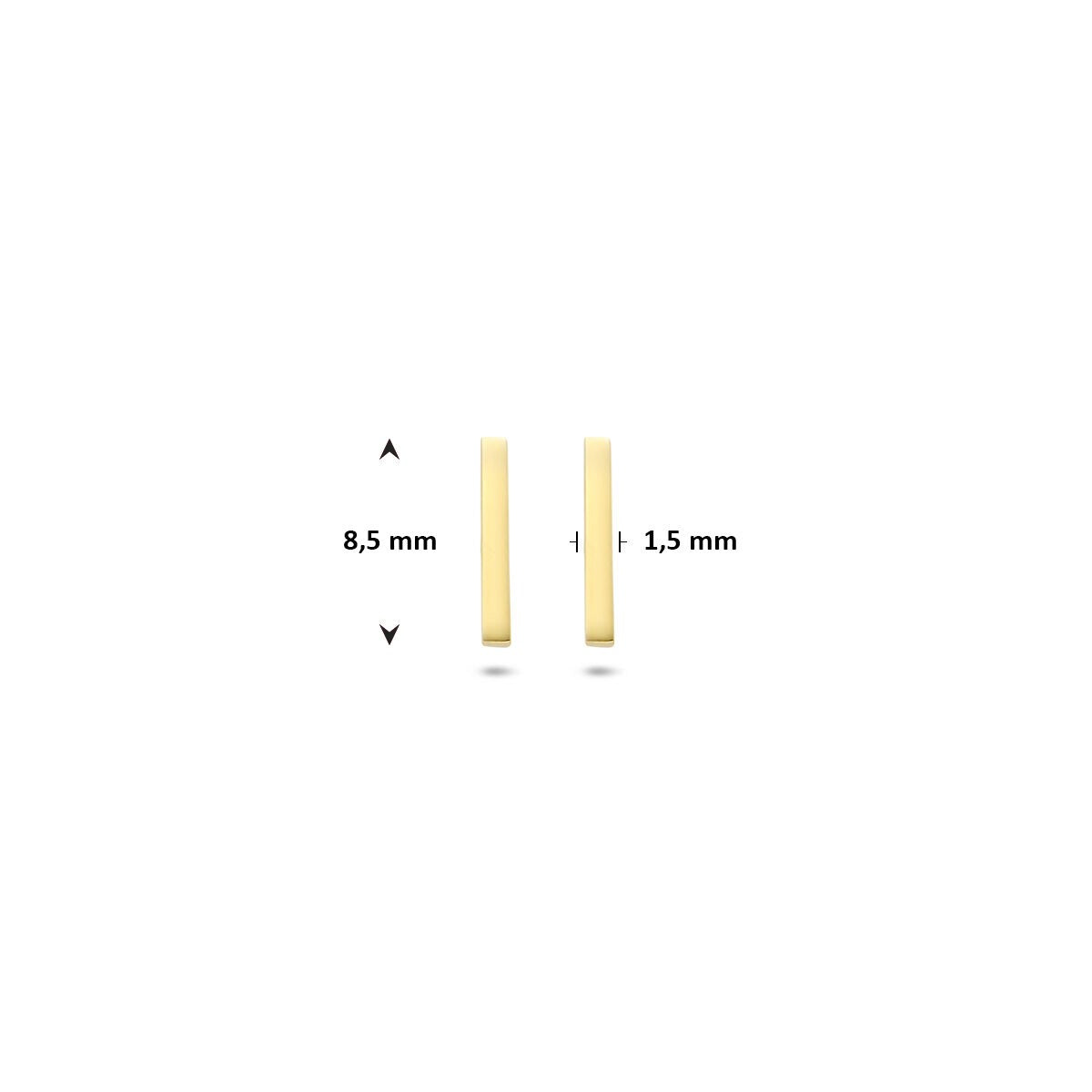 Puces d'oreilles en or – 14k