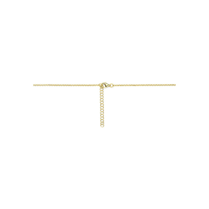 Verguld 925 zilveren collier