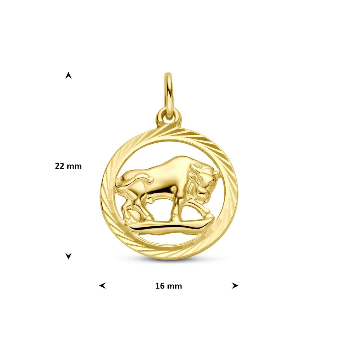 9k Geelgouden sterrenbeeld hanger