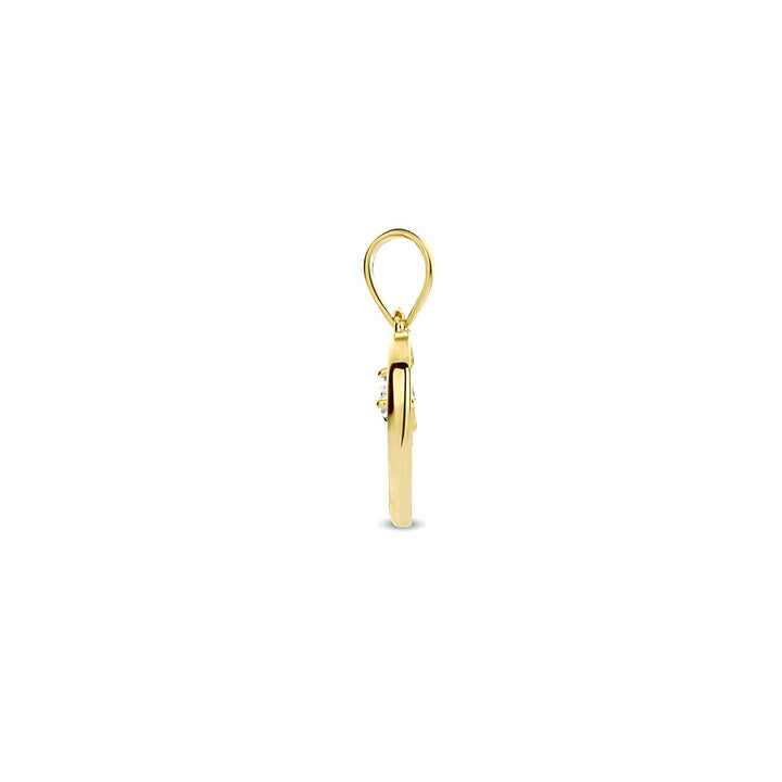 9k Geelgouden Hanger Hart met Zirkonia