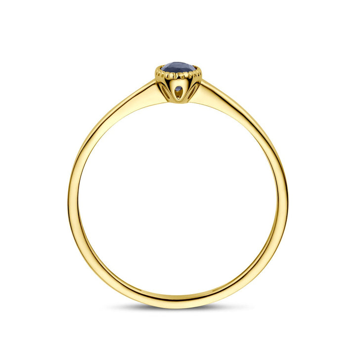 14k Geelgouden ring met saffier