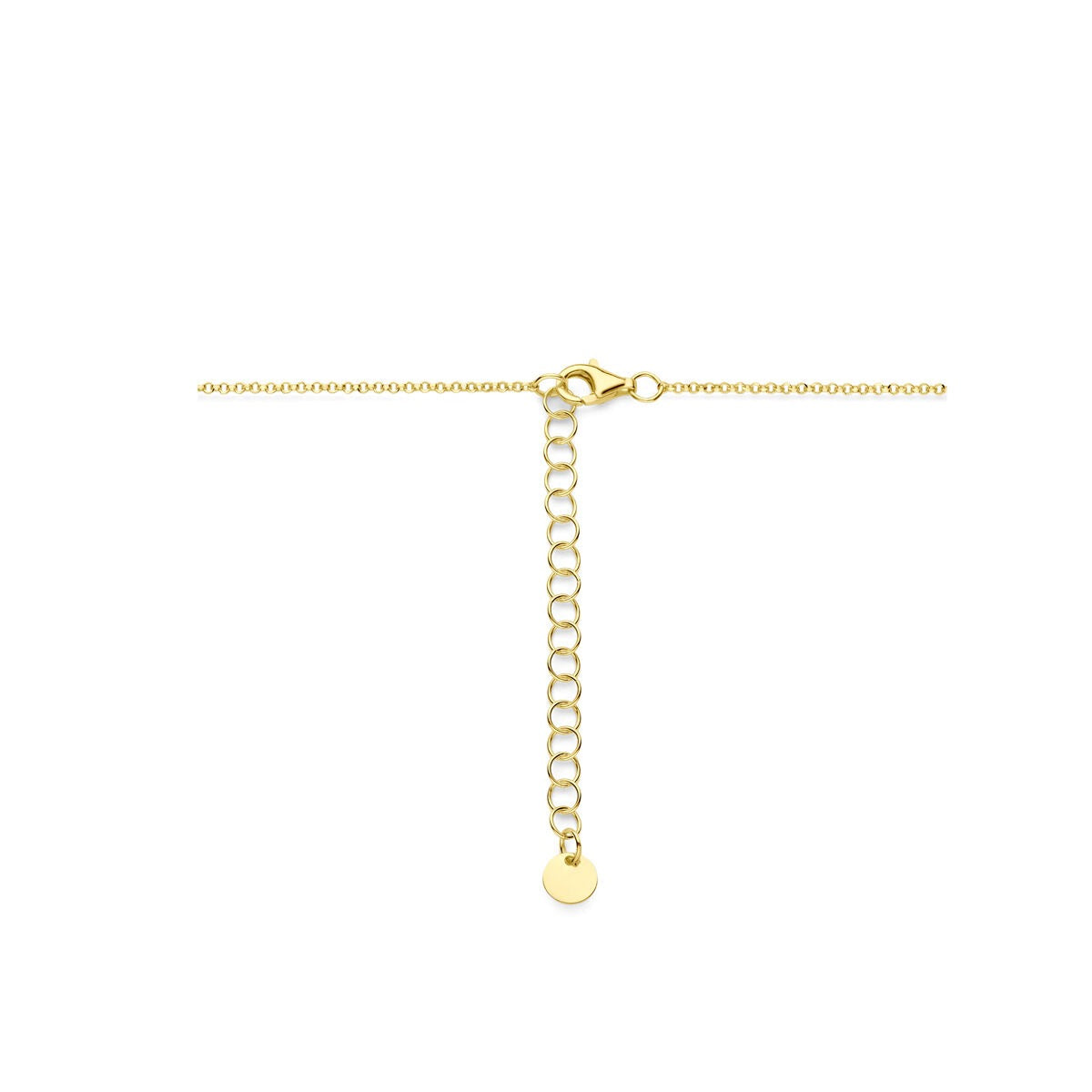 Collier en argent plaqué or avec motif de plantes – 40-45cm