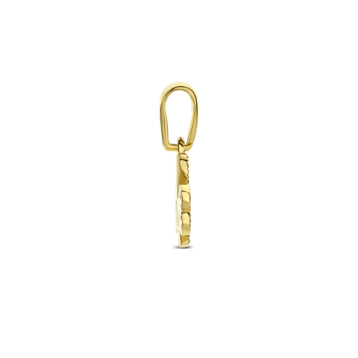 14k Geelgouden Ketting met Hanger Klaver