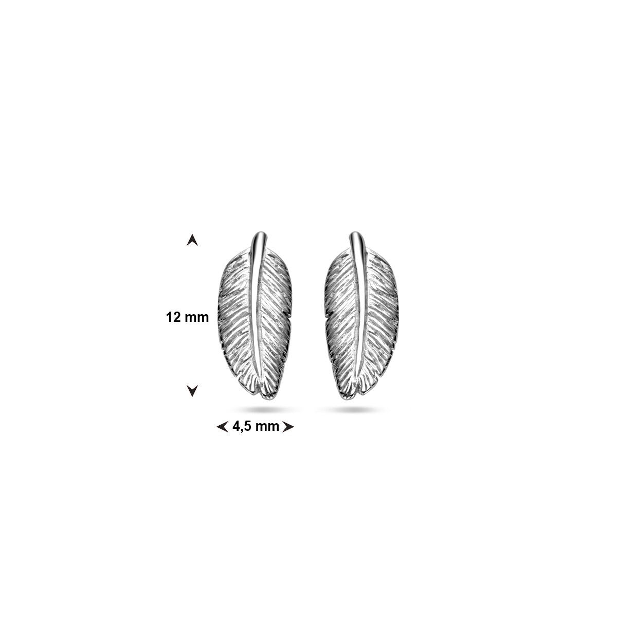 Puces d'oreilles en argent - rhodié 925