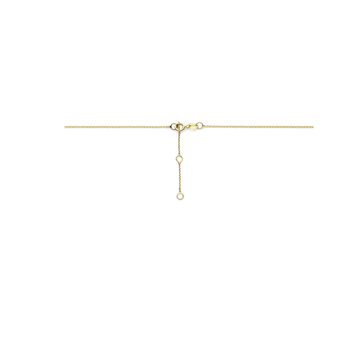 Collier en or 14k avec zircone – maille jasseron