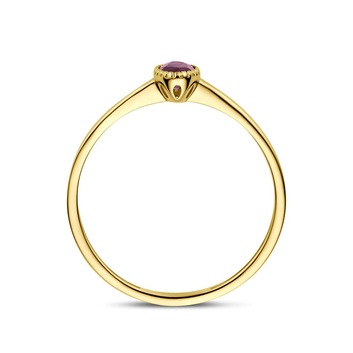 14k Geelgouden ring met robijn