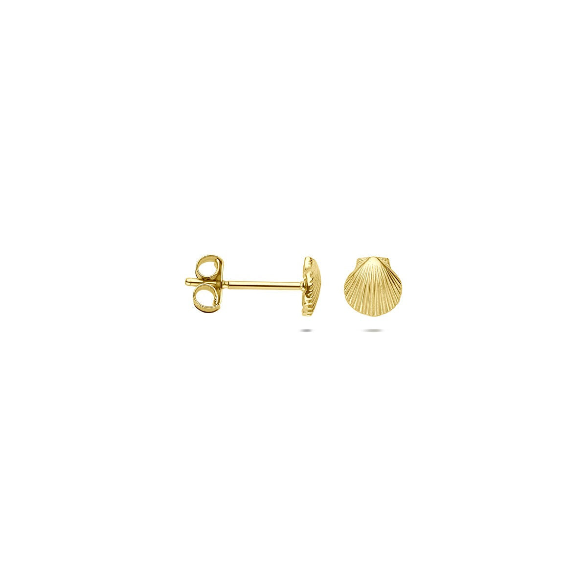 9k Geelgouden schelp oorknopjes