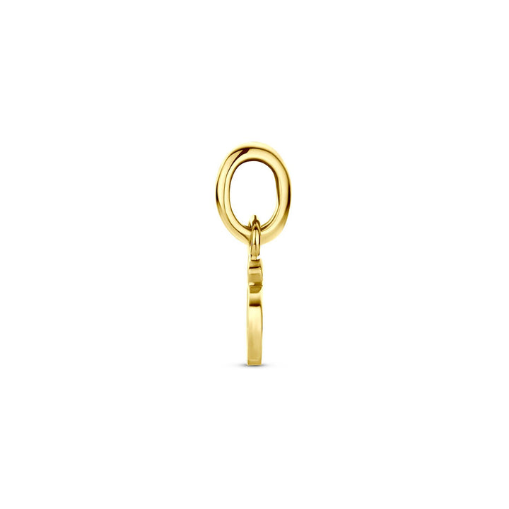 9k Geelgouden lieveheersbeestje hanger met emaille