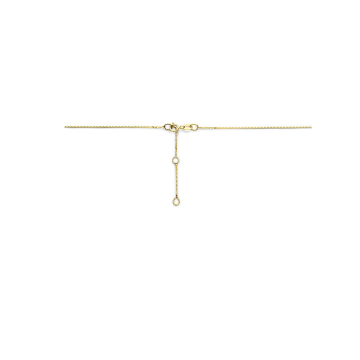 Gouden Collier 14k met Zirkonia – Entourage Zetting