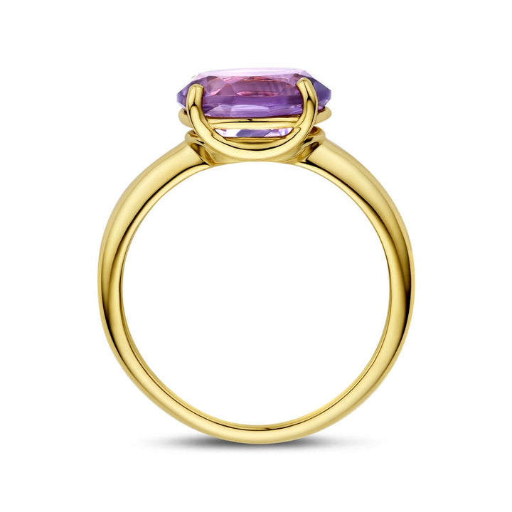 14k Geelgouden ring met amethist