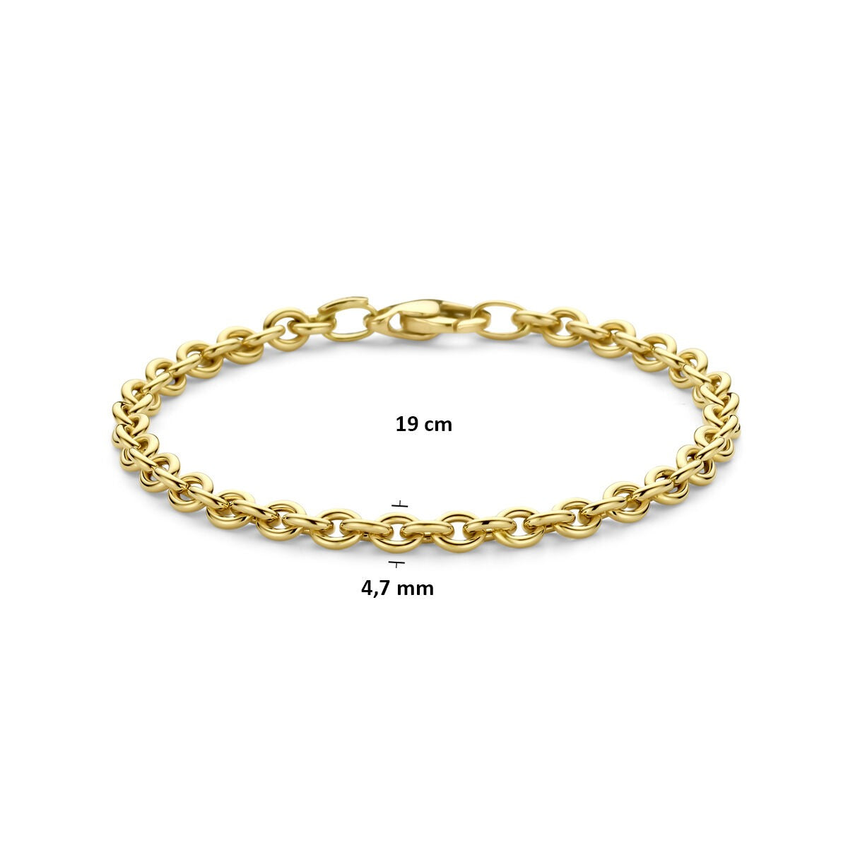 Bracelet en or jaune à mailles ancre 14k