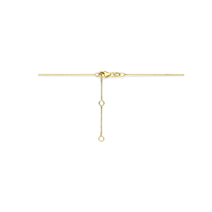 14k Geelgouden ketting met ster