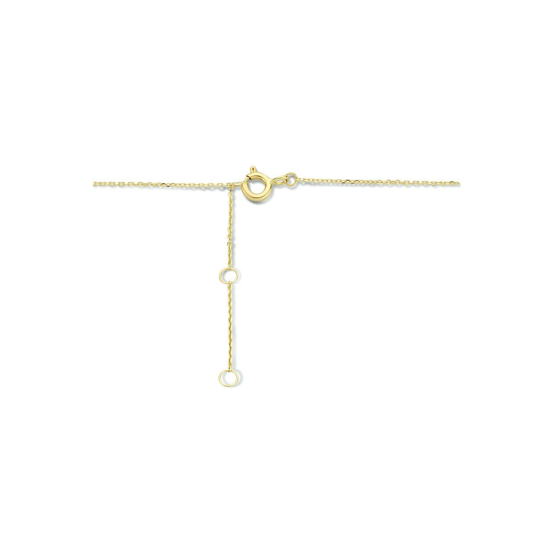 9k Geelgouden Collier met Twee Hartjes