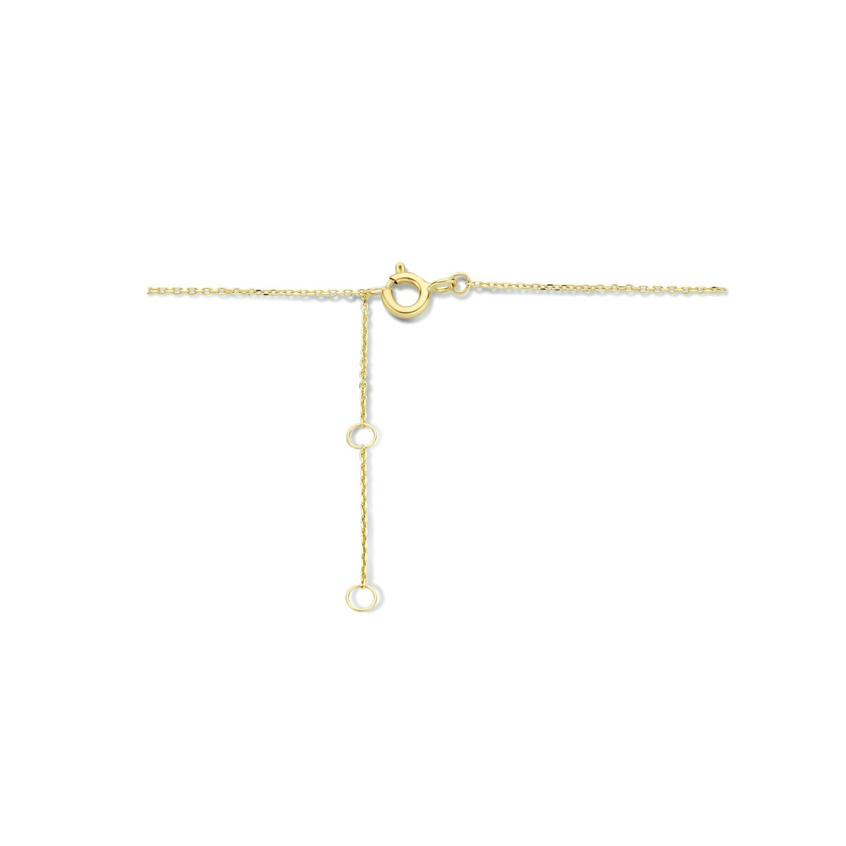 Collier en or jaune 9k avec deux cœurs
