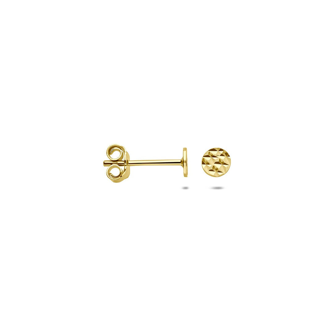 9k Geelgouden oorknopjes