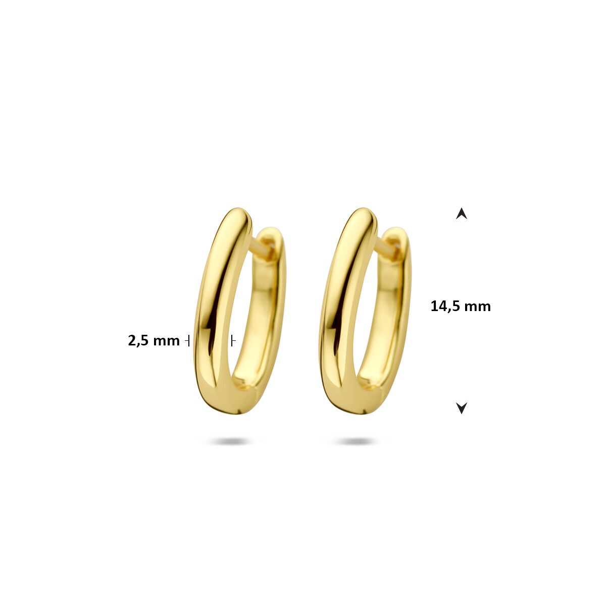 Créoles en argent plaqué or – classe intemporelle en format compact