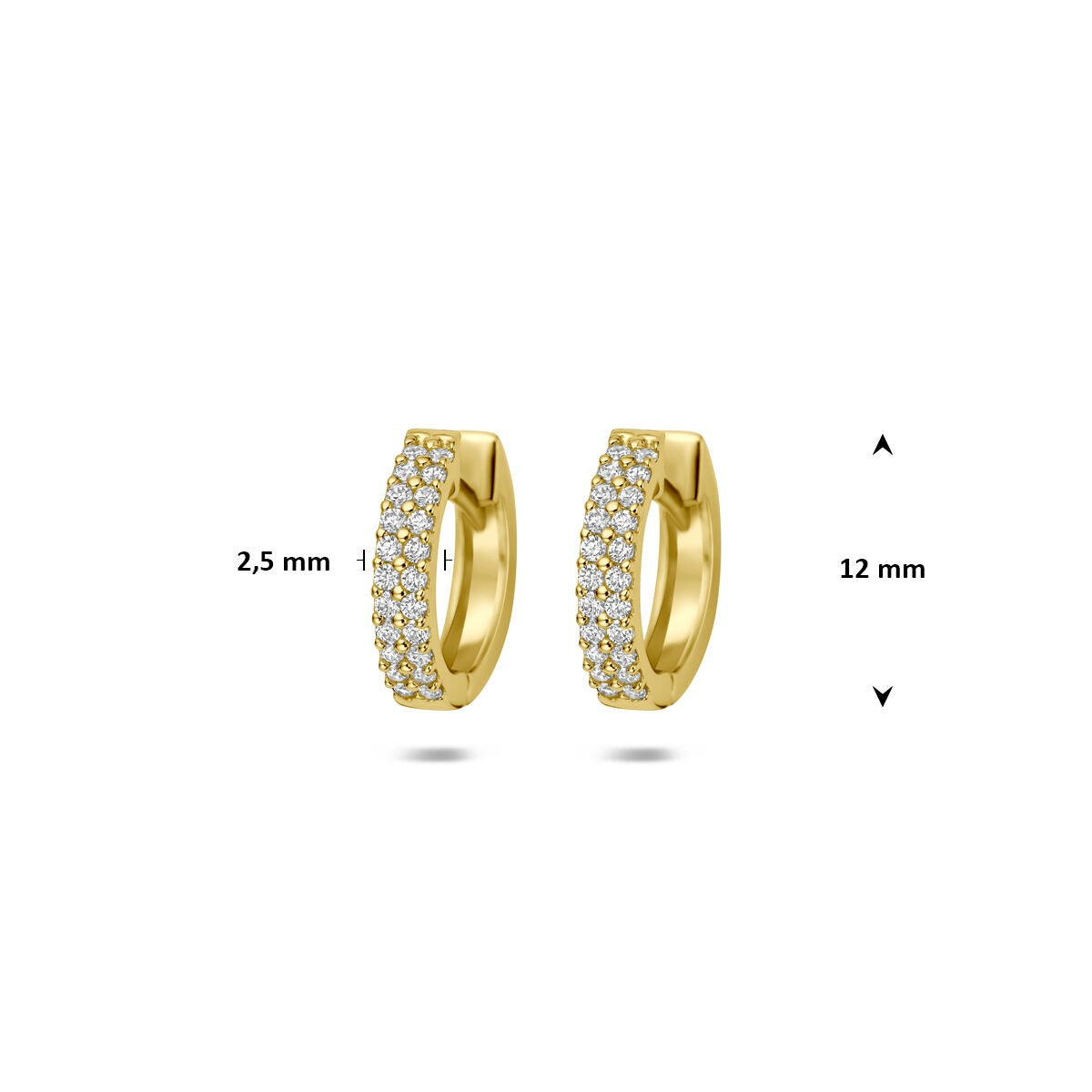 Créoles en or jaune 14k avec zircone