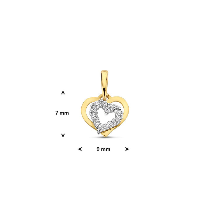 9k Bicolor Hanger Hart met Zirkonia