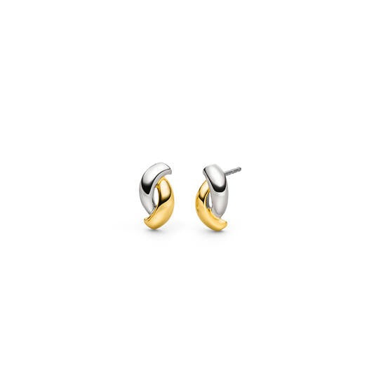 Boucles d'oreilles en titane bicolore, avec une finition brillante argentée et dorée.