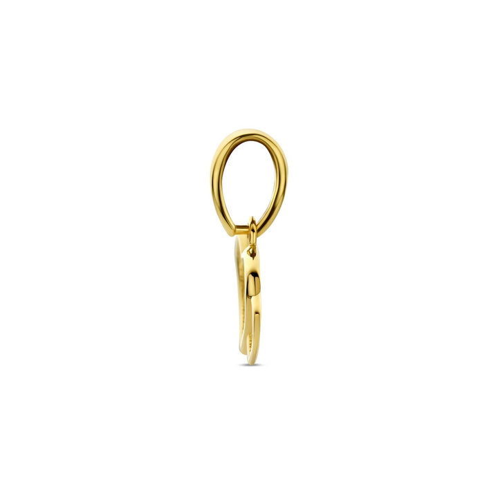 14k Geelgouden hanger met dubbele hartjes