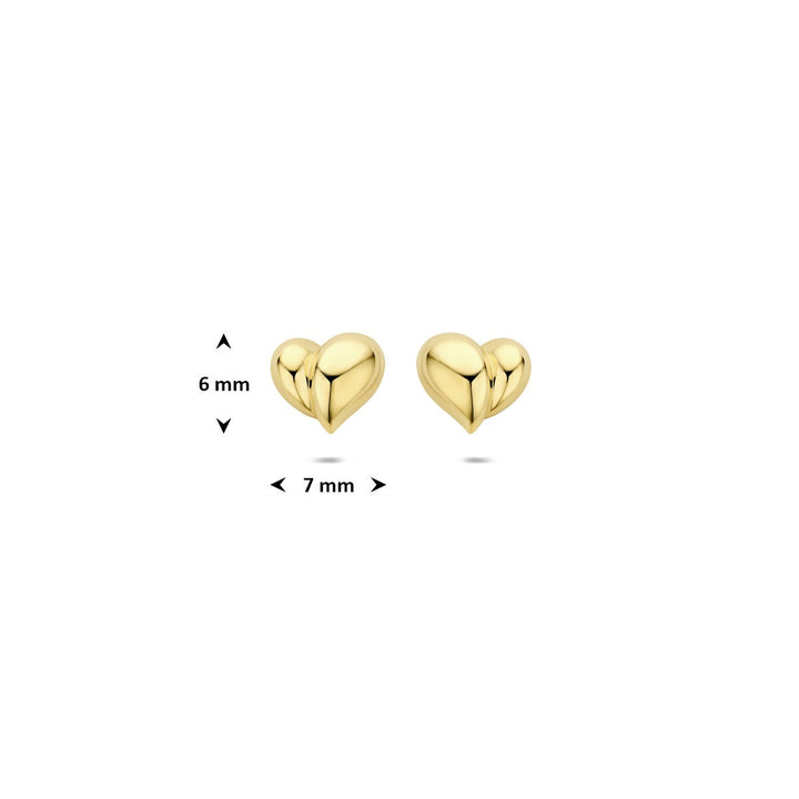 14k Geelgouden Hartjes Oorknoppen