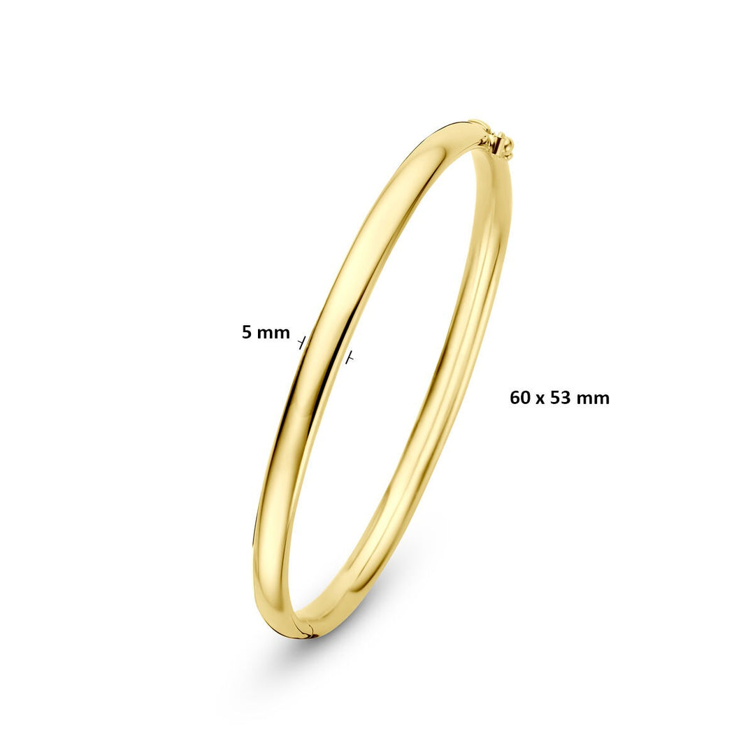 9k Geelgouden bangle armband met ovale buis en zilveren kern