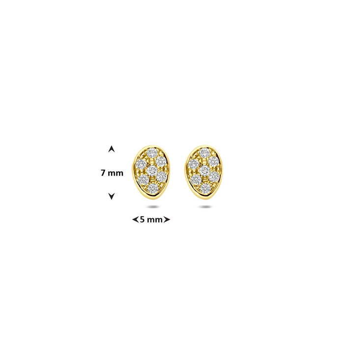 14k geelgouden oorknoppen met pavé gezette diamant