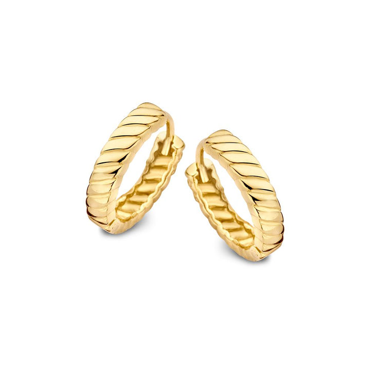 Een paar van 14 karaat geelgouden oorringen met gestreept patroon van Excellent Jewelry, tijdloos elegant door Van der Kooij, prachtig weergegeven tegen een witte achtergrond.