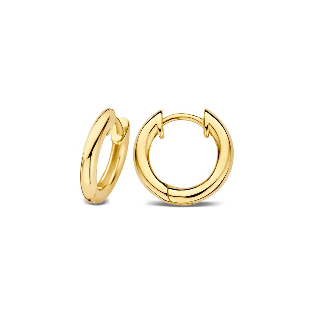 Créoles en or jaune – 14 carats | Van der Kooij