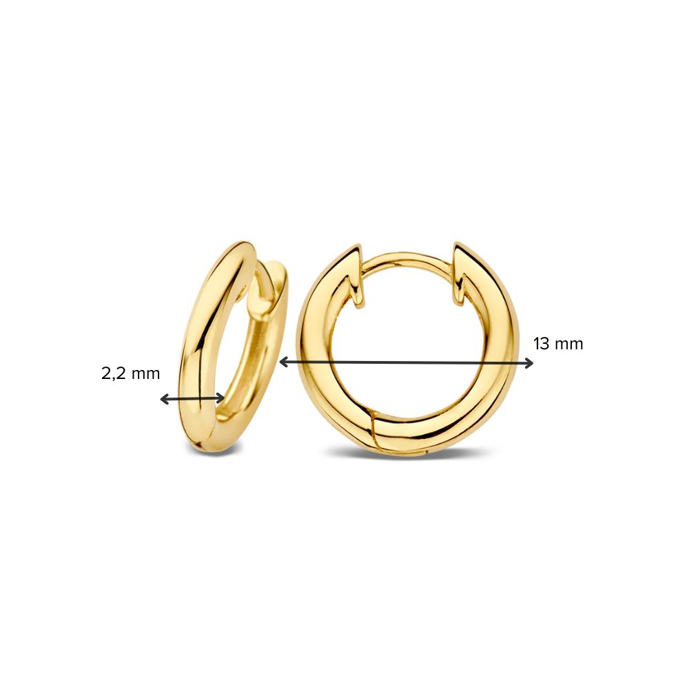Créoles en or jaune – 14 carats | Van der Kooij