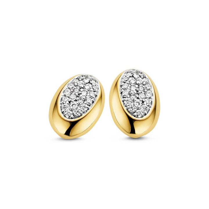 14 Karaat Bicolor Gouden Oorstekers met Briljant - 0,02 crt Diamant