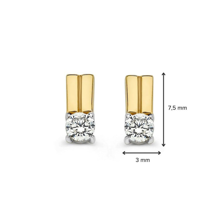 Bicolor Wit- en Geelgouden Oorstekers met Zirkonia – Strak Design, 14 Karaat