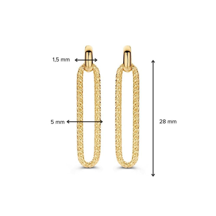 Geelgouden Oorhangers met Bewerkte Paperclip Schakel in 14 Karaat Goud