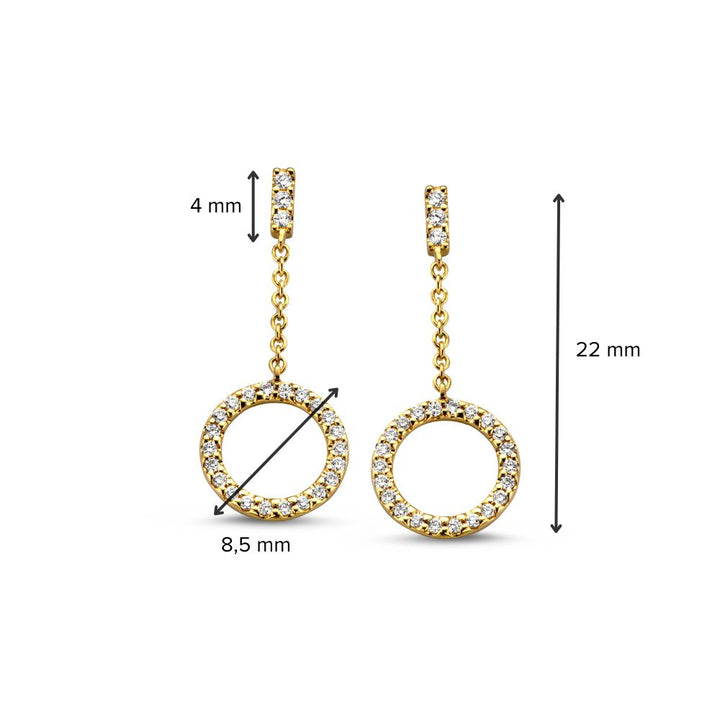 Geelgouden Oorstekers met Diamanten Aanhangers van 0,12 crt