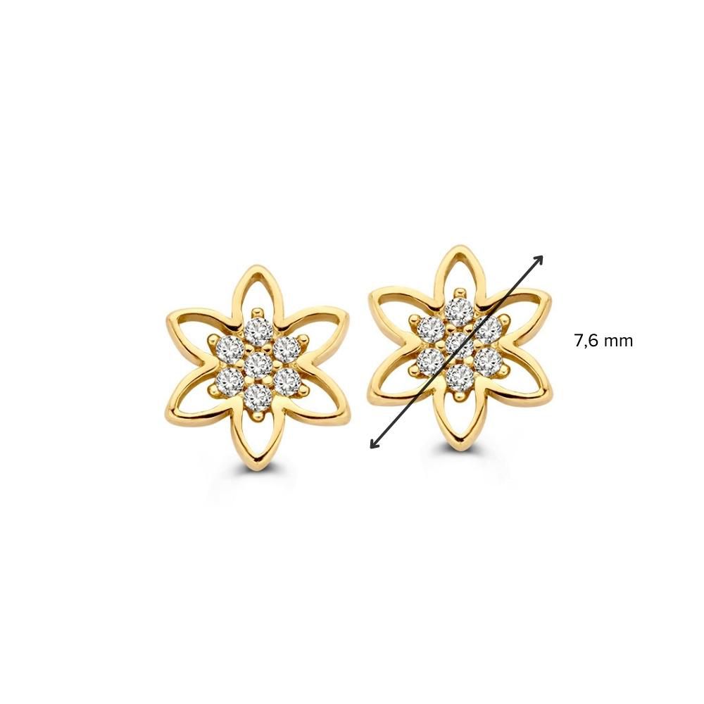 Puces d'oreilles en or jaune avec zircone | 14 carats or | Van der Kooij