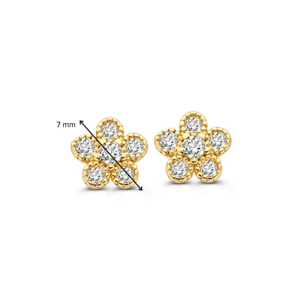Puces d'oreilles en or jaune avec zircone | Or 14 carats | Van der Kooij