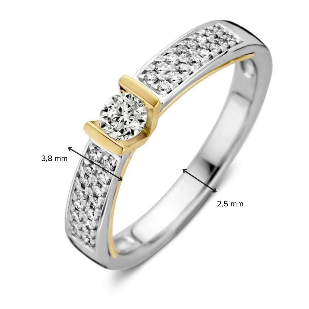 Boucles d'oreilles en or bicolore avec diamant – 0.38 ct, 14 carats