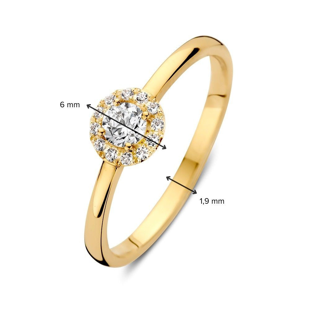 De Elegante Geelgouden Entourage Ring met Zirkonia's van Excellent Jewelry is gemaakt van 14 karaat goud, met een fonkelend cluster van zirkonia's (6 mm) als middelpunt en een subtiele band van 1,9 mm breed voor een luxe uitstraling.